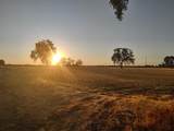  Lovers Lane - Photo 6