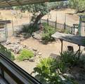 38150 Sumac Lane - Photo 37