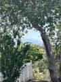 38150 Sumac Lane - Photo 46