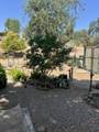 38150 Sumac Lane - Photo 54