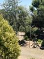 38150 Sumac Lane - Photo 97