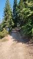 54677 Alder Drive - Photo 41