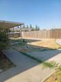 917 Esther Street - Photo 12