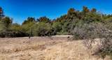 000 Whitaker Forest Road - Photo 6