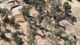 0 Totem Ln - Photo 15