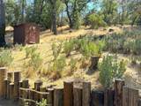 44971 Pine Flat Drive - Photo 42