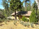 44971 Pine Flat Drive - Photo 44