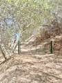 29012 Cassandra Road - Photo 1