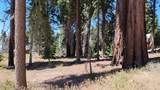 54534 Manzanita Drive - Photo 1
