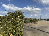 Highway 65 Highway 65 Citrus Ranch - Photo 1