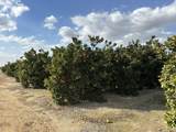 Highway 65 Highway 65 Citrus Ranch - Photo 10