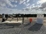  37 Acres Citrus Ranch - Photo 15