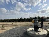  37 Acres Citrus Ranch - Photo 18
