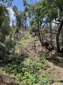 0 Balch Park Road - Photo 6