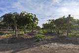  Rd. 136 - Photo 5