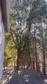 594 Loop Drive - Photo 50