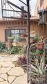 31338 Dahlem Drive - Photo 69
