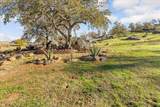 16360 Goat Ranch Road - Photo 62