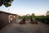 1068 Waddell Street - Photo 60