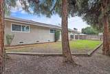 543 Redwood Street - Photo 38
