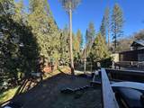 246 Rabbit Foot Trail - Photo 8