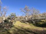 369 Hogback Dr Drive - Photo 49