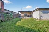 2931 Paula Drive - Photo 33
