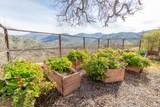 43433 Kaweah River Drive - Photo 25