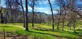 43717 Deer Creek Mill Road - Photo 49