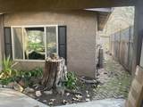 43788 Northfork Drive - Photo 5