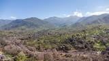  Kaweah River Drive - Photo 13