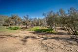  Kaweah River Drive - Photo 15