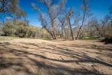  Kaweah River Drive - Photo 17