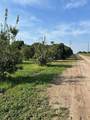  Ave 100/Rd 244 - Photo 12