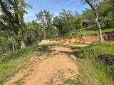  Mineral King Road - Photo 12