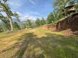  Mineral King Road - Photo 13
