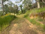  Mineral King Road - Photo 8