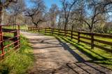 44294 Sequoia Oaks Drive - Photo 118