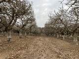  Avenue 11 - Photo 4