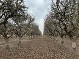  Avenue 11 - Photo 5