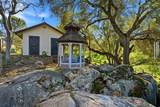 30530 Corral Drive - Photo 61