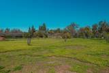915-N Strathmore Avenue - Photo 76
