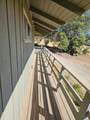 1431 Hillcrest Drive - Photo 48