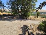 1431 Hillcrest Drive - Photo 50
