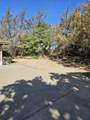 1431 Hillcrest Drive - Photo 52
