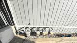 253 Belleview Avenue - Photo 16