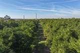 8521 Rd 256 - Photo 8
