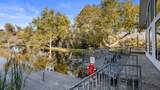34784 Bogart Drive - Photo 47
