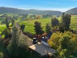 34784 Bogart Drive - Photo 48