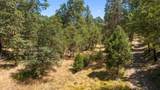 48675 Todd Eymann Road - Photo 100